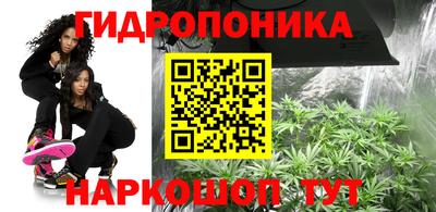 альфа пвп Берёзовский