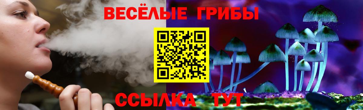 Псилоцибиновые грибы MAGIC MUSHROOMS Каменск-Уральский